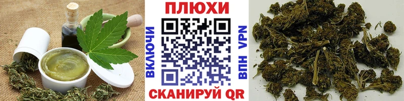 закладки Холмск Cannafood конопля
