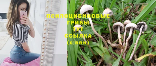 гашик Абинск