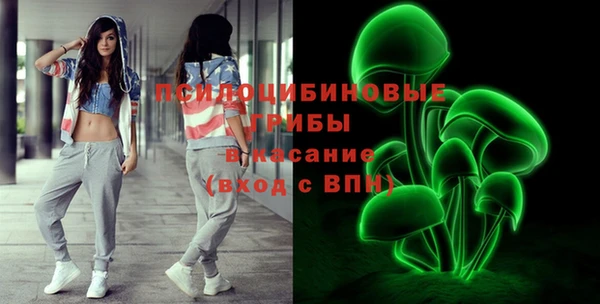 гашик Абинск