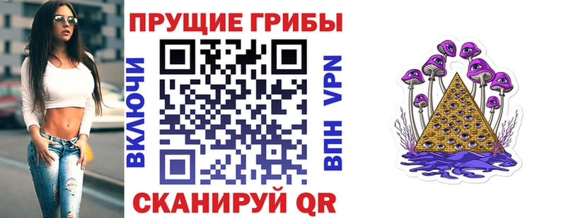 Галлюциногенные грибы Magic Shrooms  закладки  Холмск 