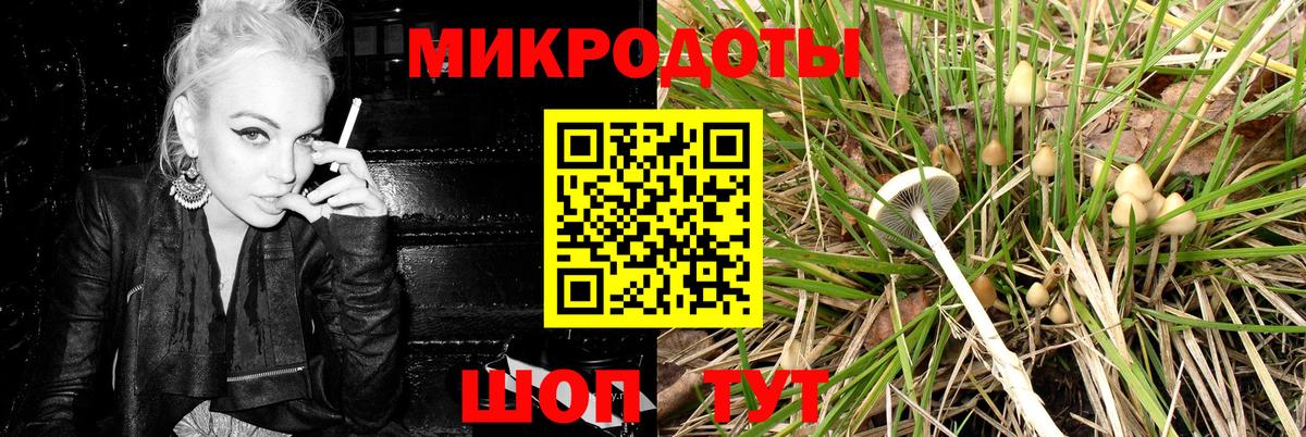 Галлюциногенные грибы Cubensis Холмск