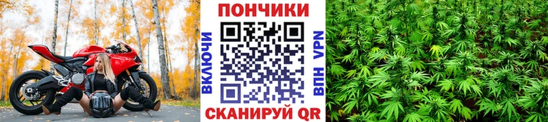 дарк нет клад  что такое   мега онион  Холмск  МАРИХУАНА план 